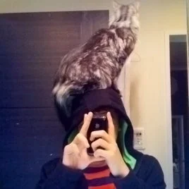 猫と一緒の藤原裕也さん