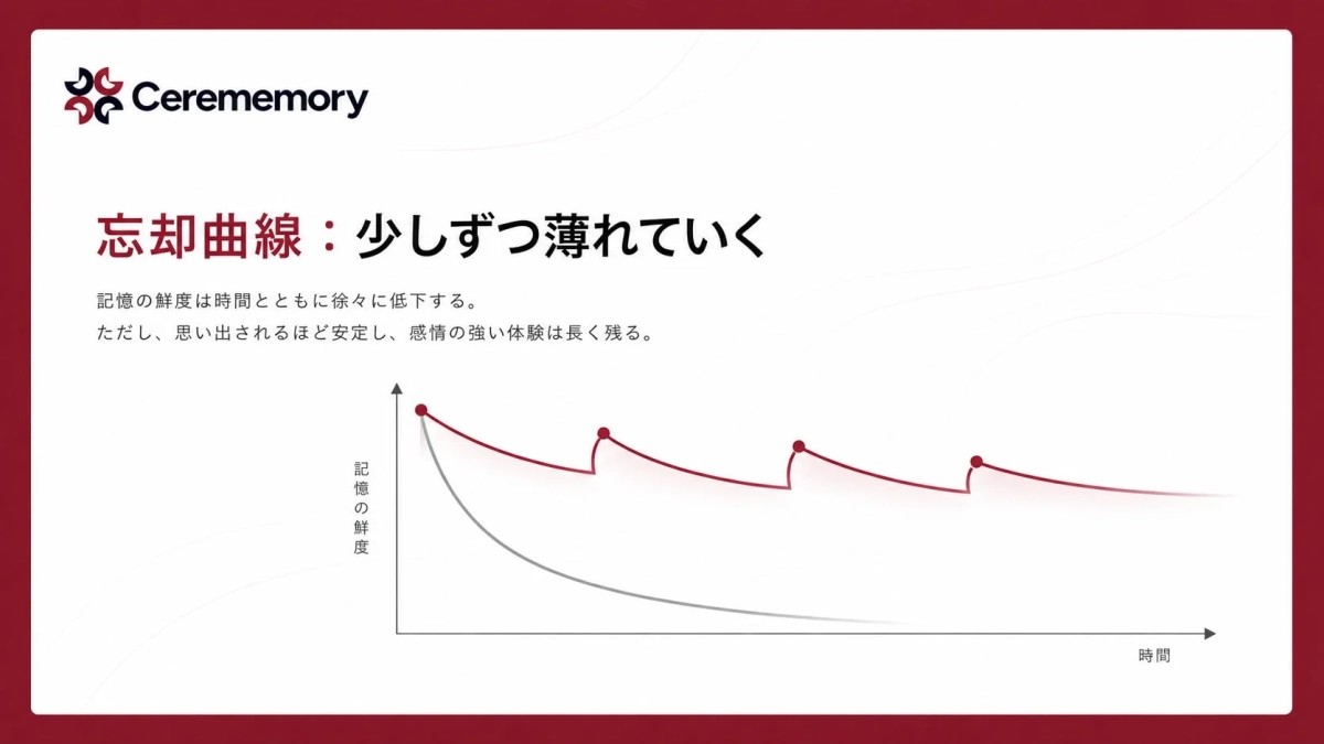 忘却曲線