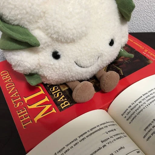 ぬいぐるみがプログラミングの本を読む画像
