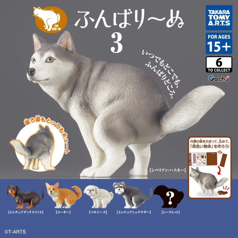 ふんばり〜ぬ3