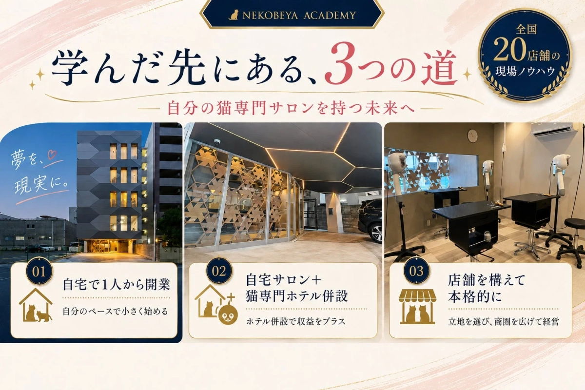 NEKOBEYA ACADEMY 学んだ先にある、3つの道 自分の猫専門サロンを持つ未来へ