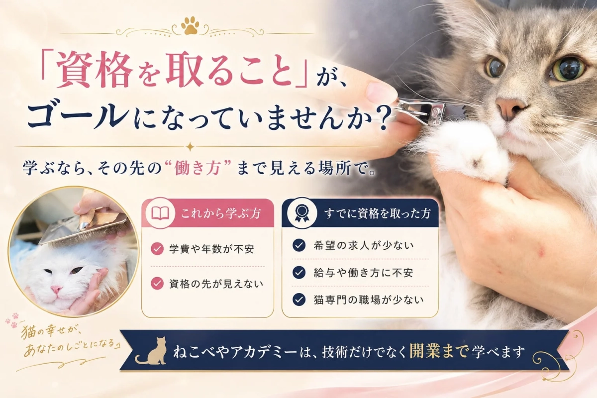 「資格を取ること」が、ゴールになっていませんか？学ぶなら、その先の“働き方”まで見える場所で。